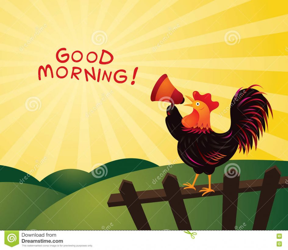 rooster crowing announcing megaphone good morning fence farm hill background 81880785 945x821 - rooster-crowing-announcing-megaphone-good-morning-fence-farm-hill-background-81880785