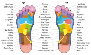 foot reflexology chart @powerofpositivity 1 300x181 - Top Posts of 2019
